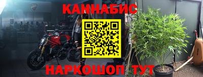 гидропоника Кингисепп
