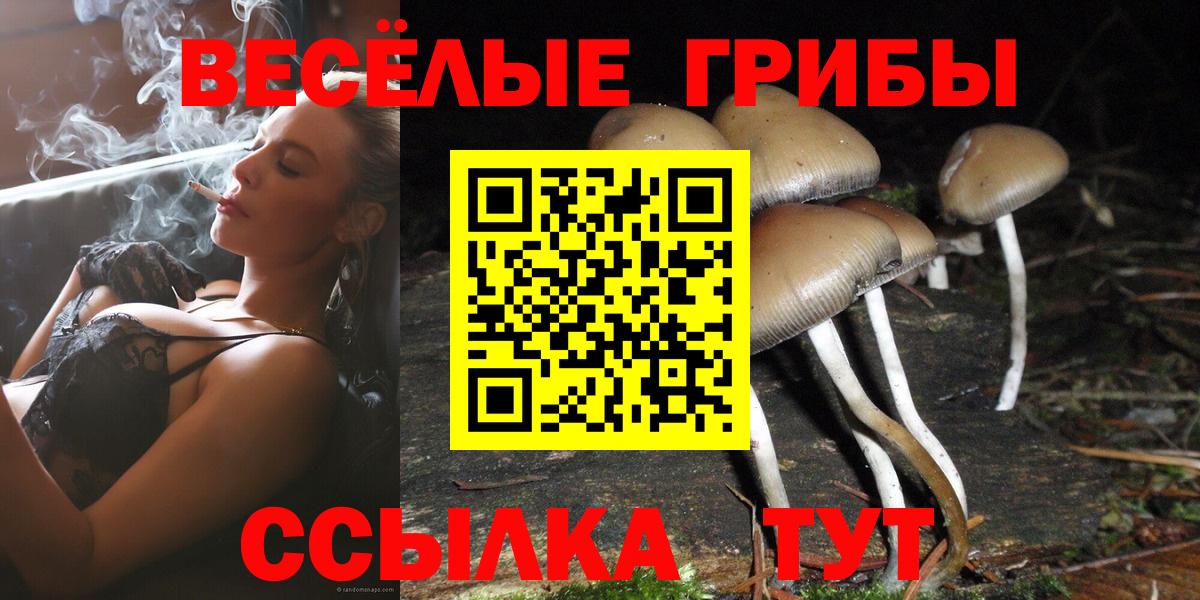 Псилоцибиновые грибы прущие грибы  Псилоцибиновые грибы ЛСД  Барабинск  Вход с VPN 
